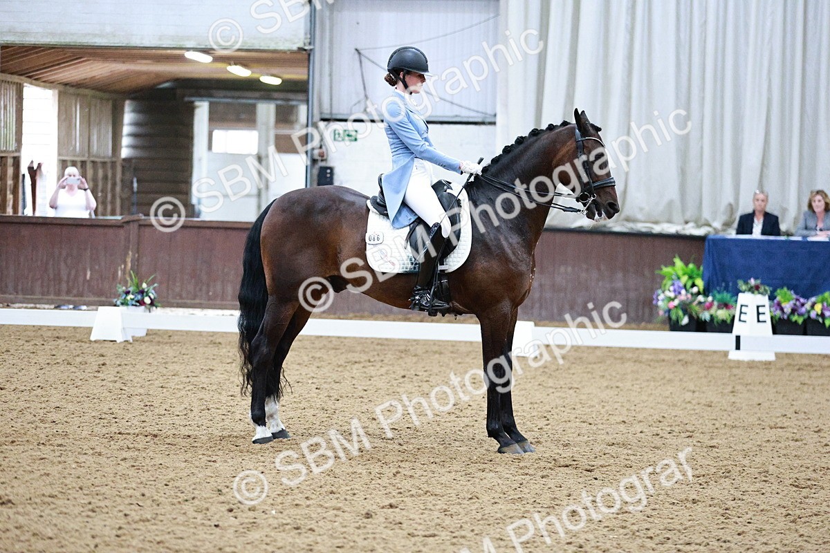 SBM_020722 - Class 13 - FEI INT I - 15.30-16.00
