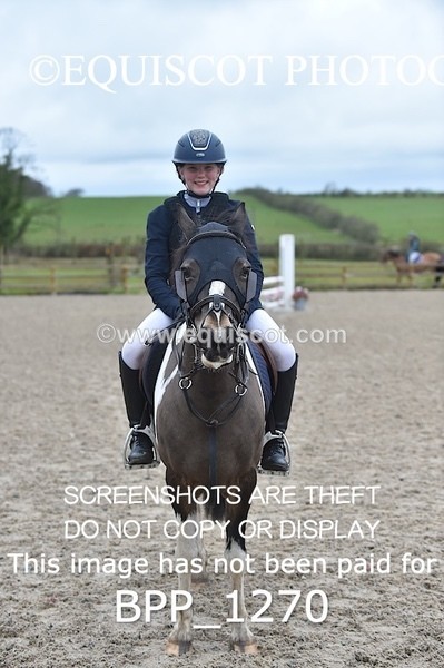 BPP_1270 - CLASS 4 Club/ Unaffiliated 80cms Open