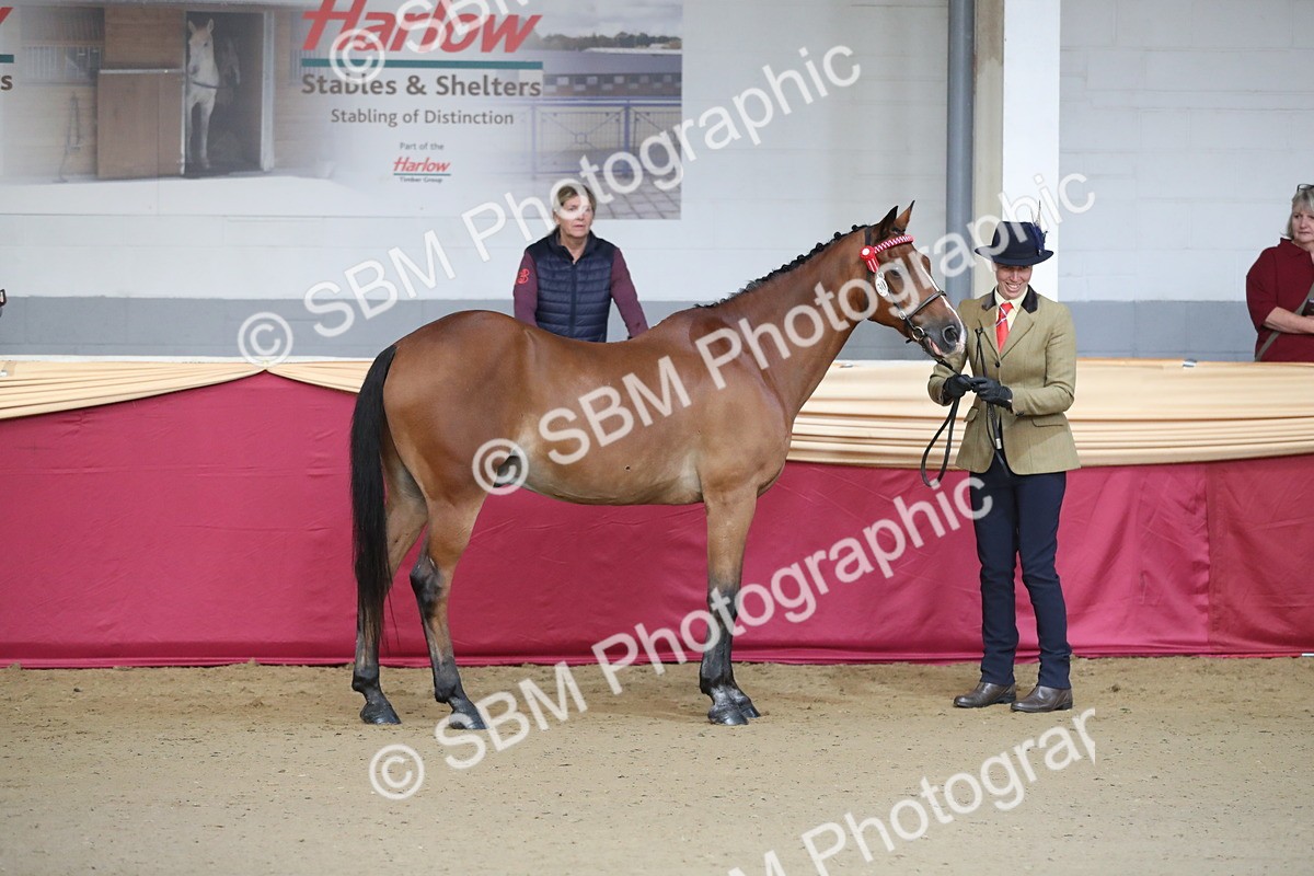 SBM_00214 - Class 1a - Area IH Diamond