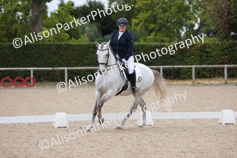 20250820-1054 - Class 17 - Elementary 4