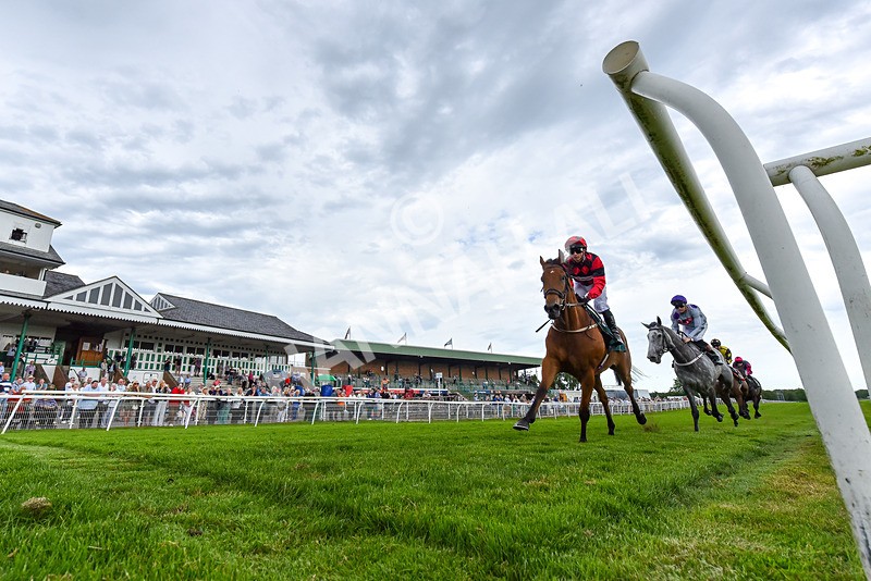 220626-Race 5-Treasure Islands-1079 - Race 5 16.35pm Start Your Racing TV Free Trial Handicap
