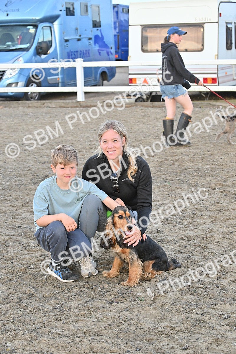 SBM_09597 - Lorry Dogs
