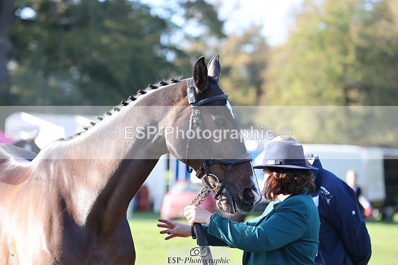 241027-095840-15614 - 354-Nicky.Ralph-ATLANTIC.COAST