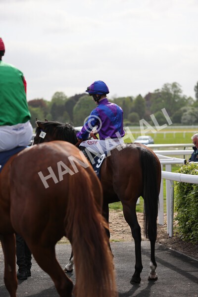 yr13052022r7-10 - Race 7 5.15pm Longines Irish Champions Weekend Stakes
