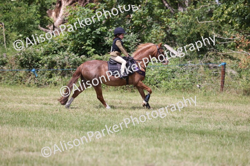 20260614-2175 - Class 21 - Novice Working Hunter Pony