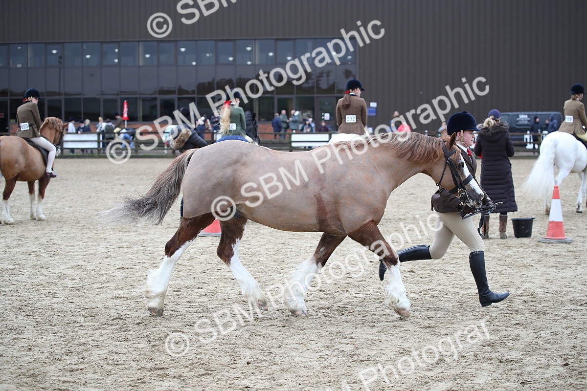 SBM_006166 - Class 10-13 - RIHS Small Large Breeds