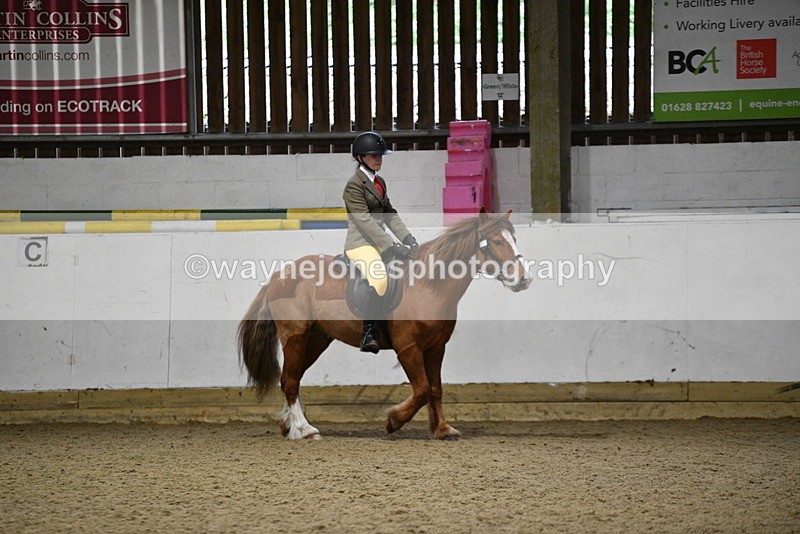 WJ5_8202 - Class 14 Novice Ridden/Rider