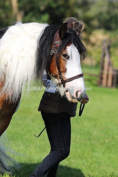 SIAL6022 - Ring 1 & 3