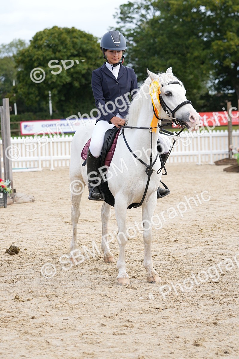 SBM_40080 - J6 - Junior Pony 55cm Championship
