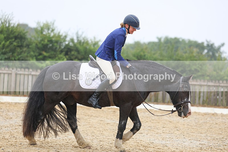 3E7A8443 - Class 2: Intro 3 2024 section B