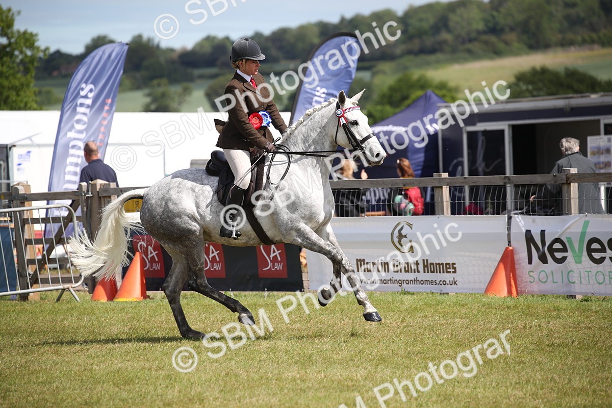 SBM_13346 - Class 95-96 - LIHS BSHA Rising Star Hack Riding Horse