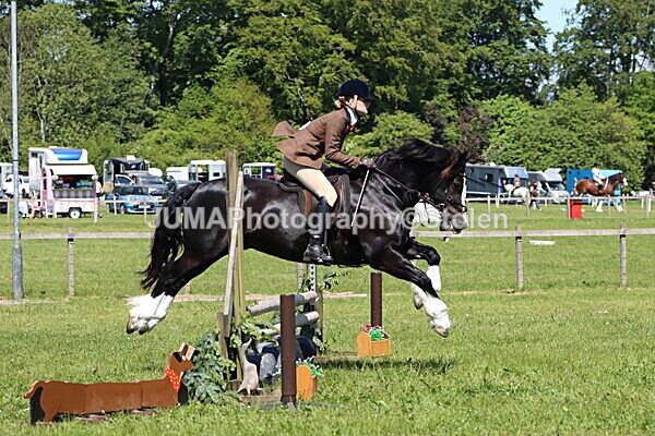 IMG_3711 - Working Hunter