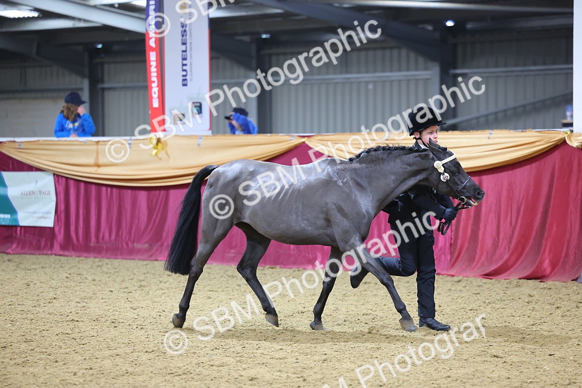 SBM_20822 - Class 902 - Supreme Final IH Veteran