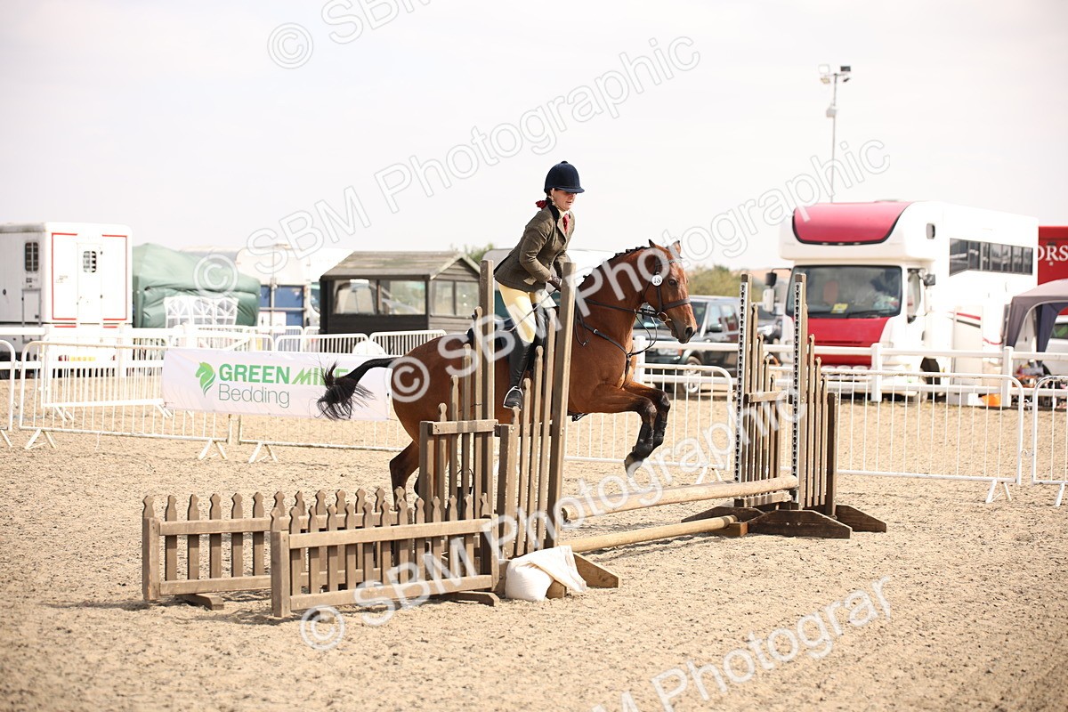 SBM_14139 - Class 407a - Working Veteran 60cm (15-19