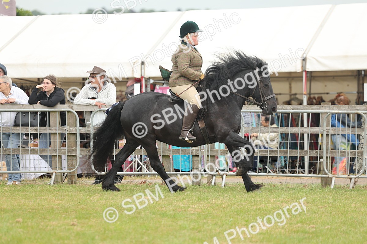 SBM_08951 - Class 78-80 - Ridden M&M Non Welsh Ponies