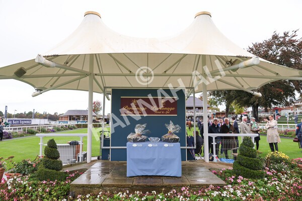 yr07102022r1-54 - Race 1 2.05pm Parsonage Hotel and Cloisters Spa Stakes