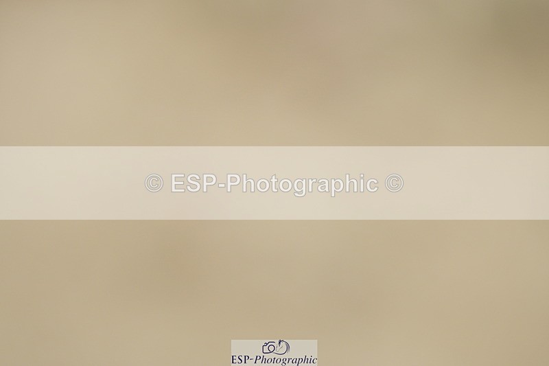 230702A-125854-09410 - Cls 29 Elementary 57