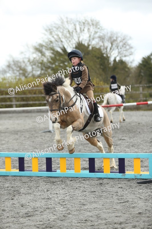 20260412-0644 - Show Jumping