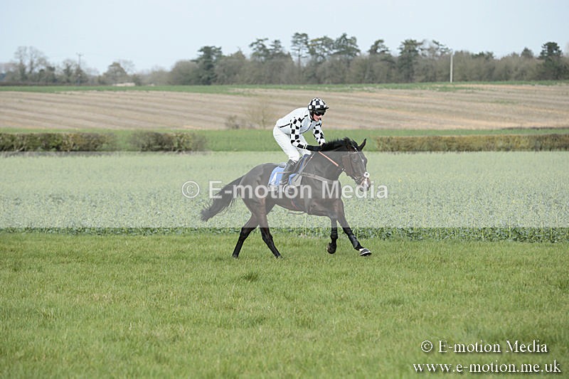 PtP 230319 292 - VWH Hunt Siddington Point-to-Point Racing 23/03/19