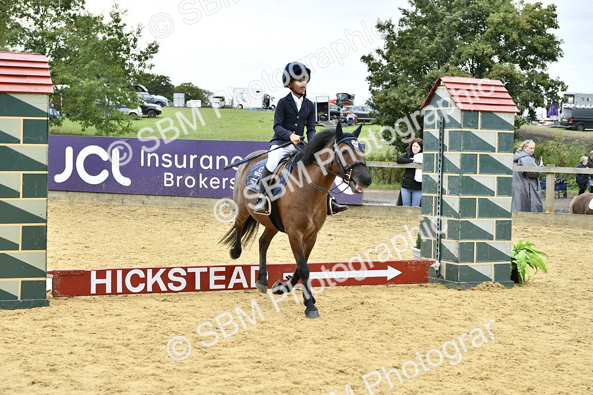 SBM_66165 - J2a mini Tour Junior Pony 30cm Championship