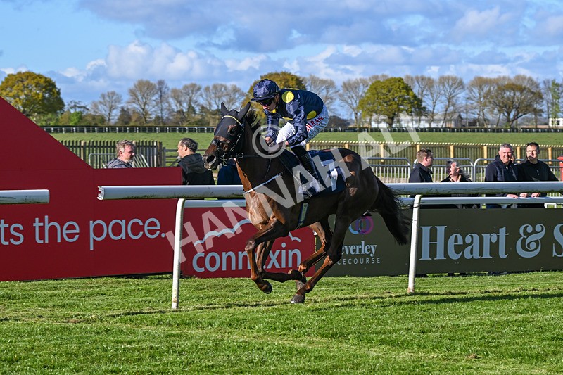 250424-Race 7-Little Rose-2030 - Race 7