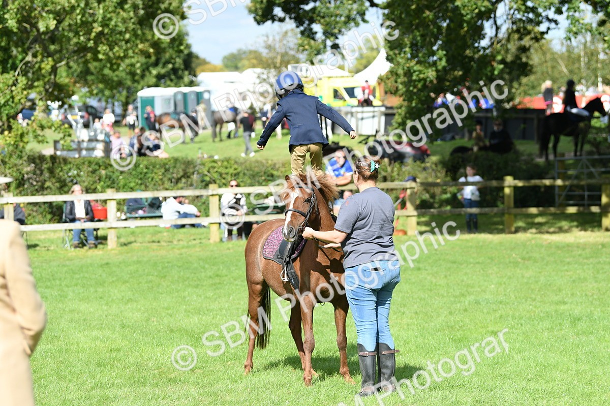 SBM_47162 - S12 - Family Horse & Pony