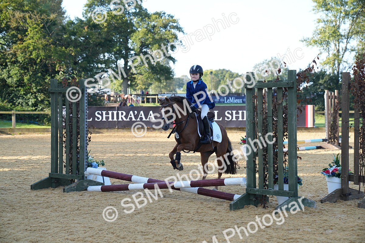 SBM_59022 - J63 - Minis Clear Round 30cm 40cm