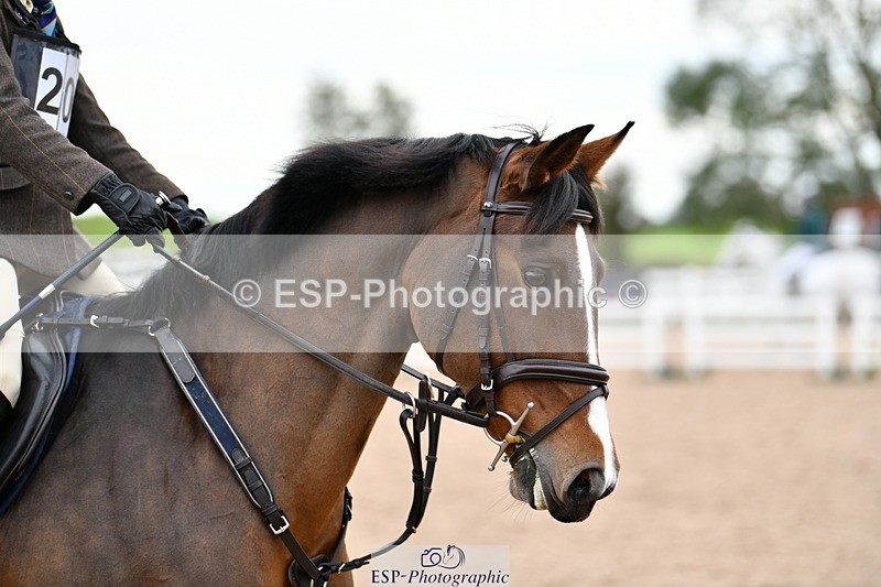 241013B-153332-01911 - Cls 6 80cm