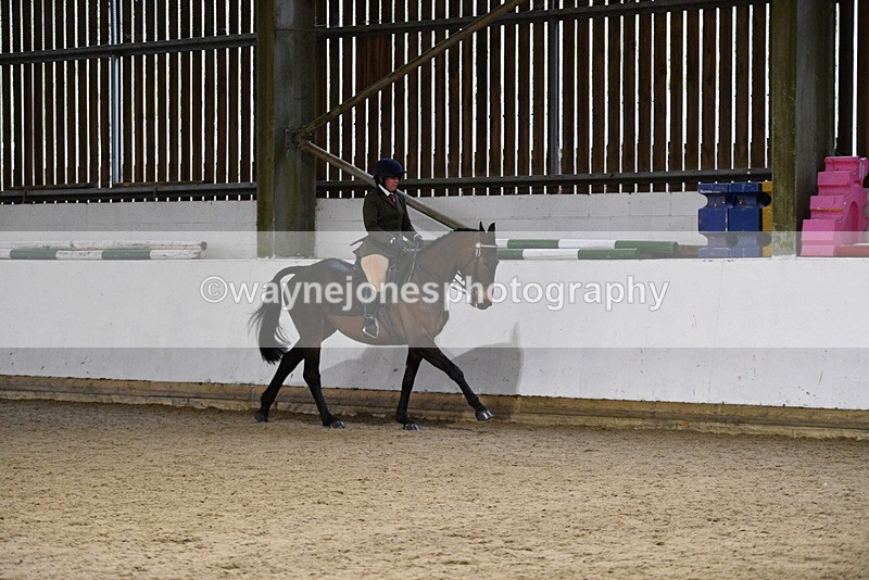 WJ5_8817 - Class 15 Ridden Show Horse