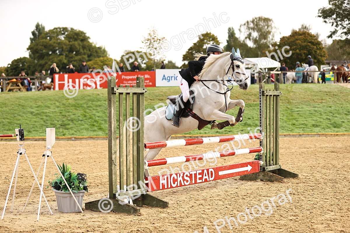 SBM_58170 - J41 - Grand Tour Horse & Pony 95cm