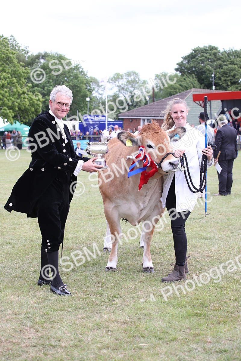 SBM_07904 - Grand Parade