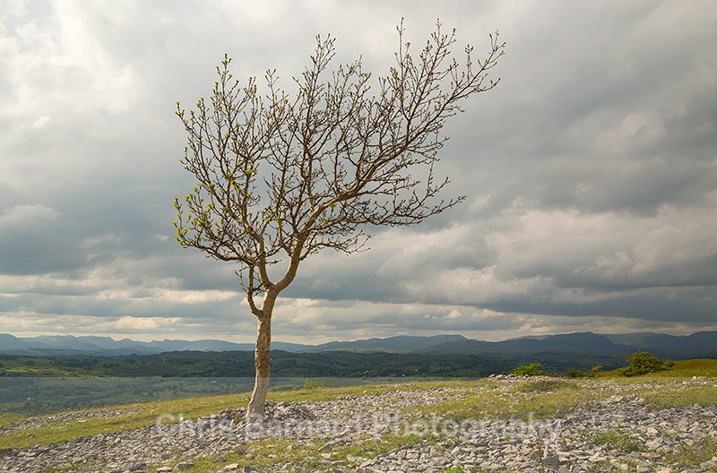  - The Lake District