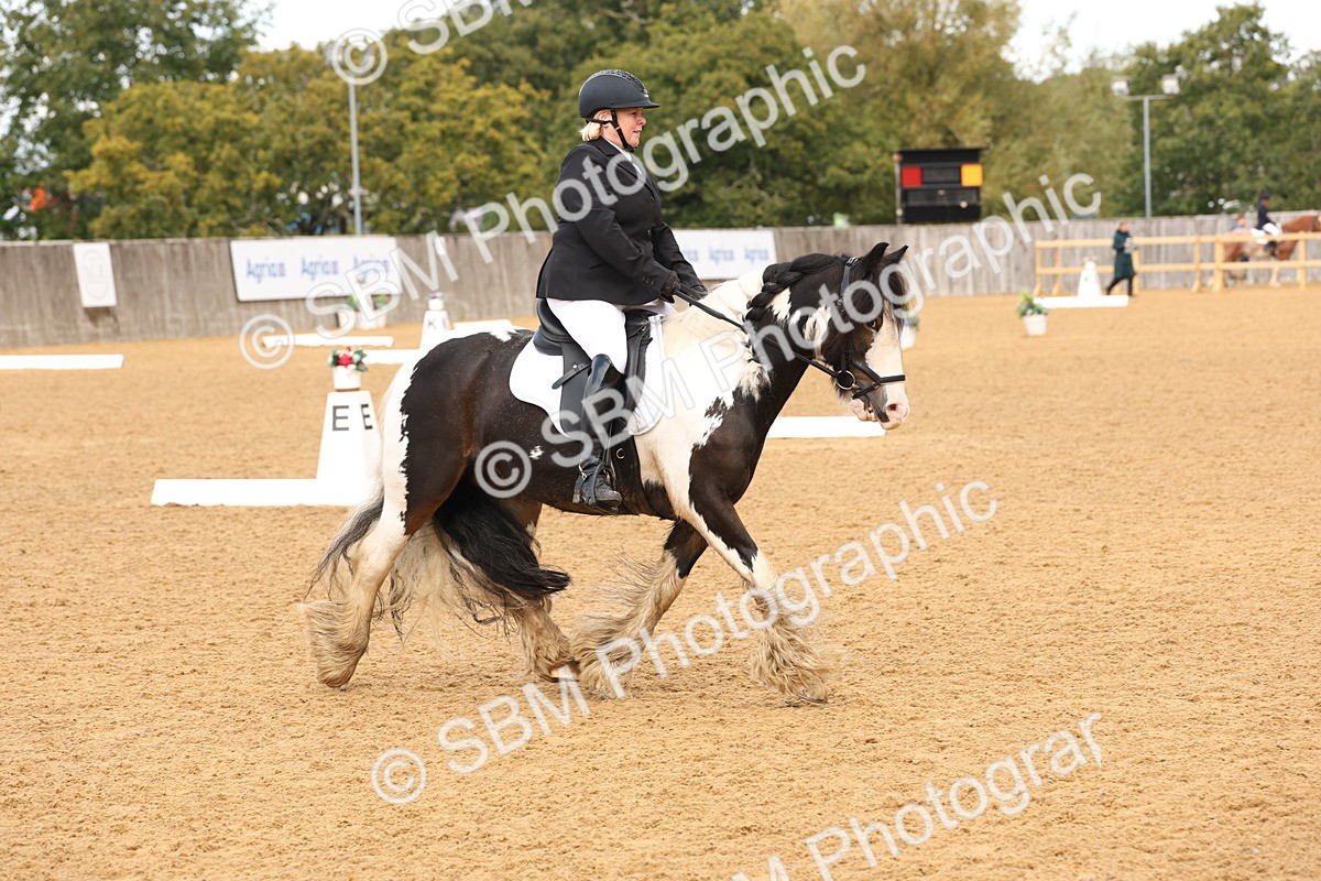 SBM_40684 - D6 - Small Tour Championship Intro 4