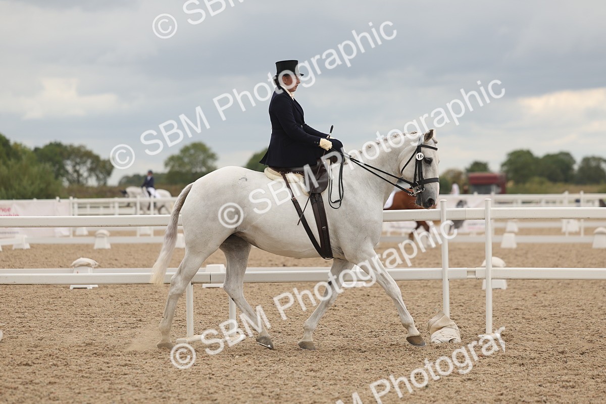 SBM_06409 - Class 23 - SSA - Classical