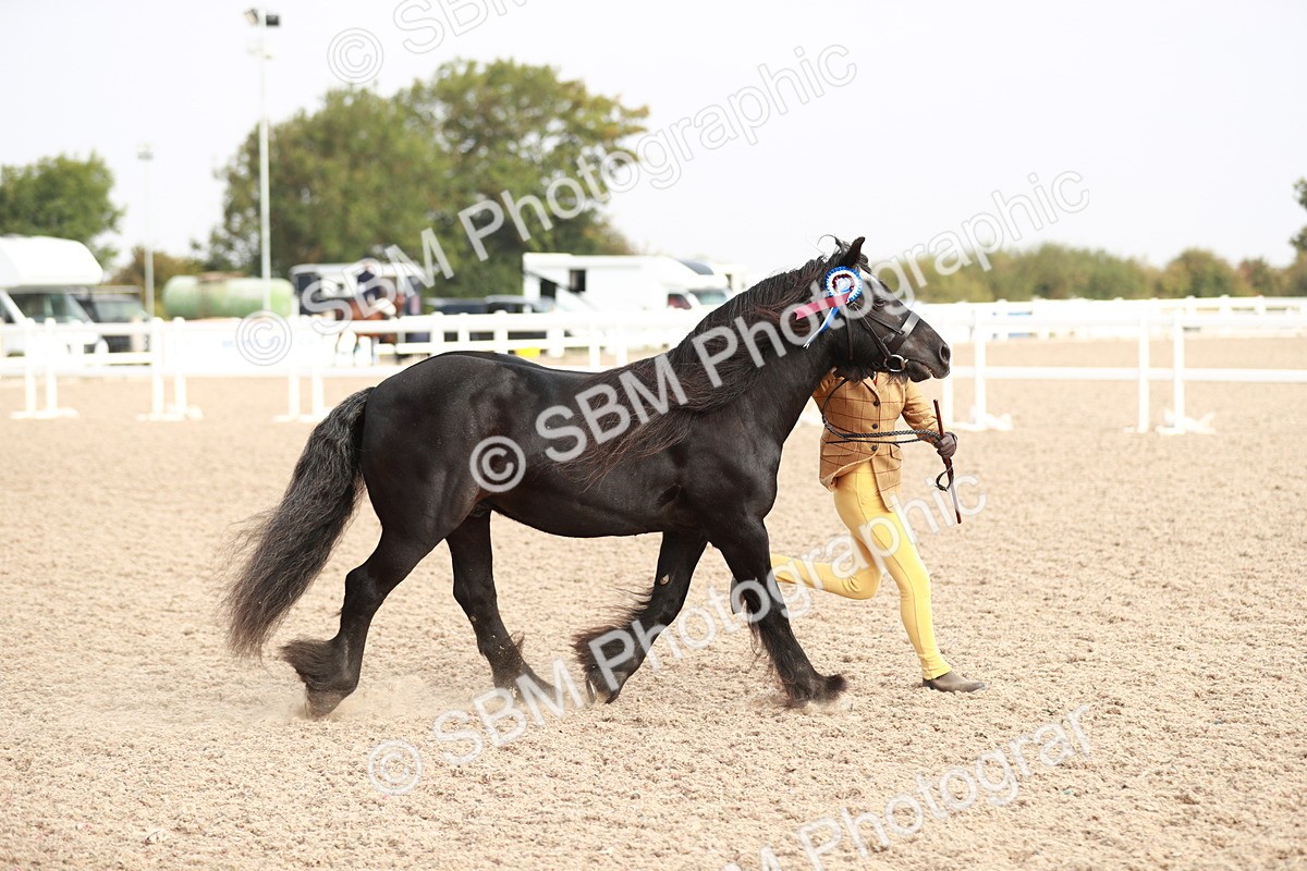 SBM_10637 - Class 204 Young Handler, 11-16 years