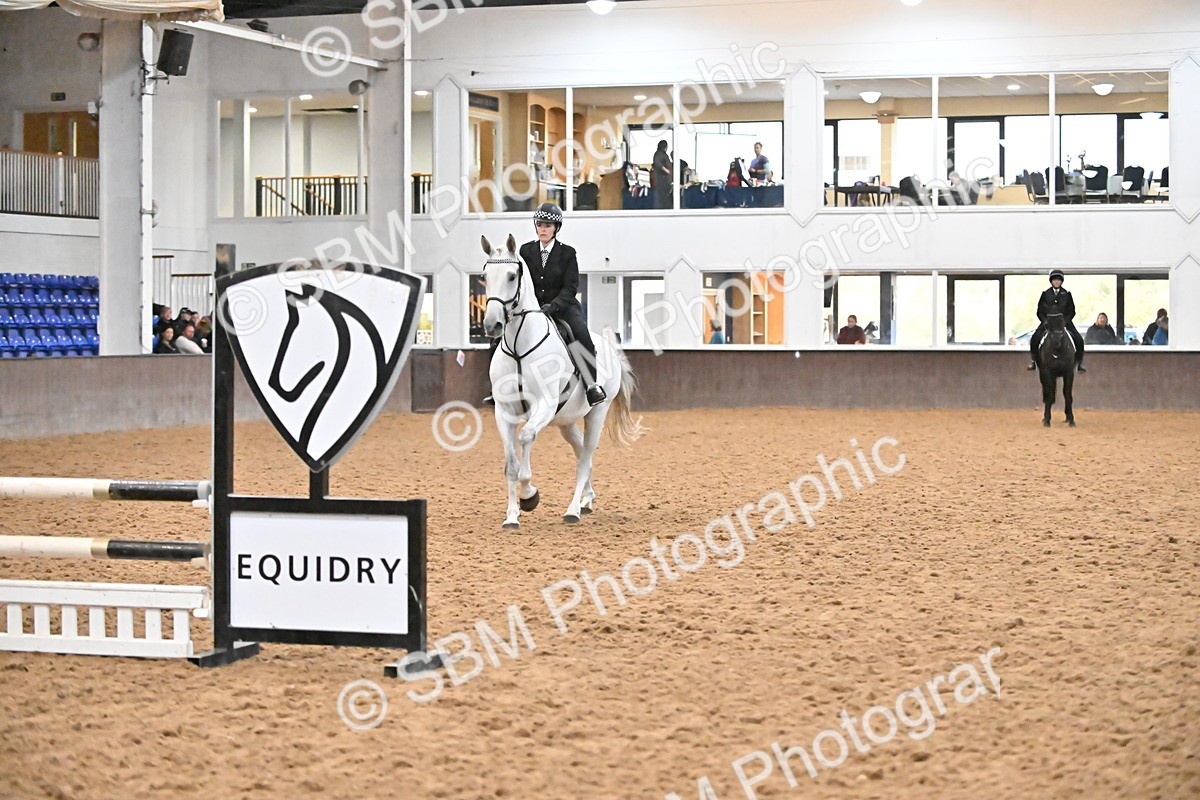SBM_002990 - Class 37,38 - UKPSAF Performance Horse & Pony
