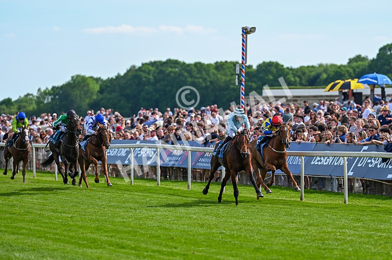230526-Race 6-Pearl River-7735 - Race 6 16.25pm Royal Yorkshire Regiment Handicap