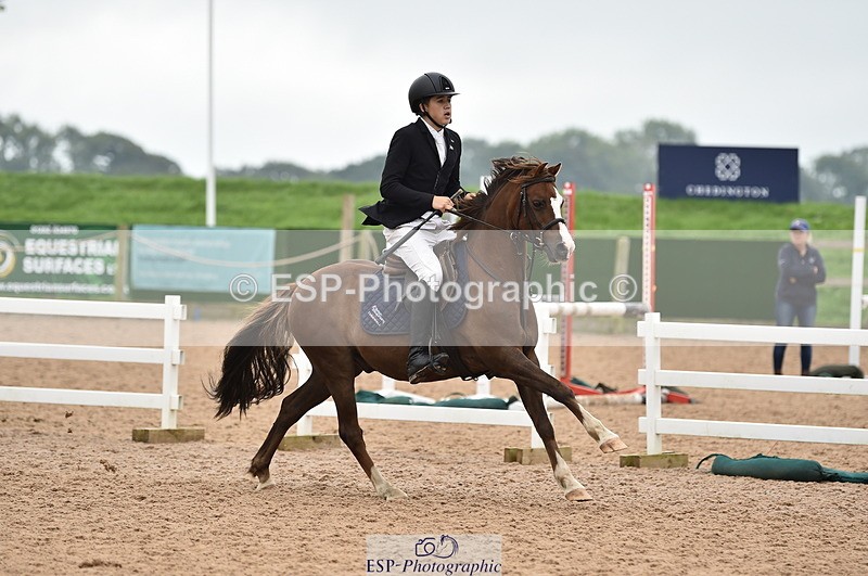 230902A-113954-00795 - Cls 2B Pony Small 80cm