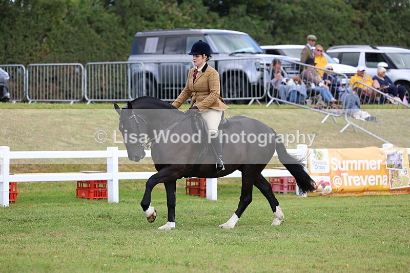 3E7A9726 - Class 5: Rising Star Lightweight/Heavyweight Cobs