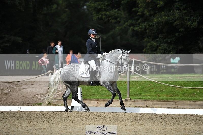 230812-104059-03436 - Cls 6 Novice Silver 10.30 to 11.55 break