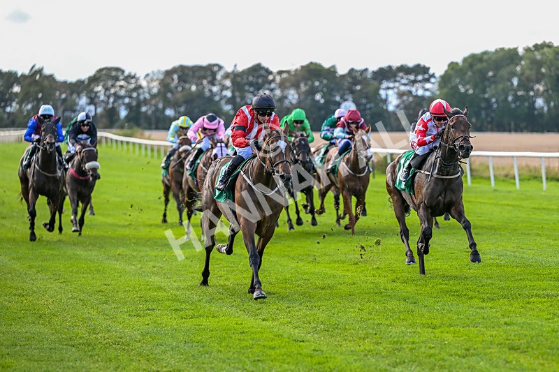 140926-Race 2-Bladey Lady-6808 - Race 2 2.51pm Patrick Hibbert-Foy Memorial Nursery Handicap