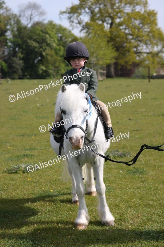 20260426-0532 - Class 30 - Tiny Tots Lead Rein