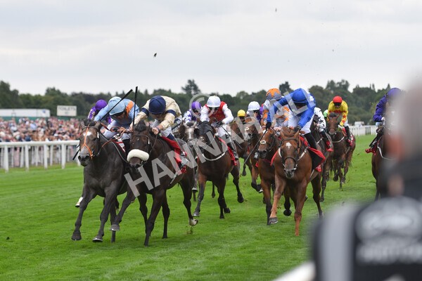 yr18082022r2-47 - Race 2 2.25pm Goffs UK Harry Beeby Premier Yearling Stakes