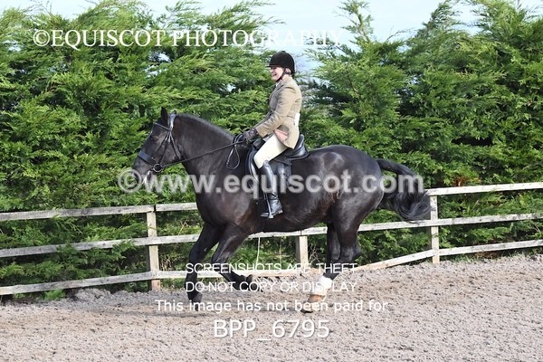 BPP_6795 - RING 1  (RIDDEN HORSES / IN HAND / VETERAN ETC)