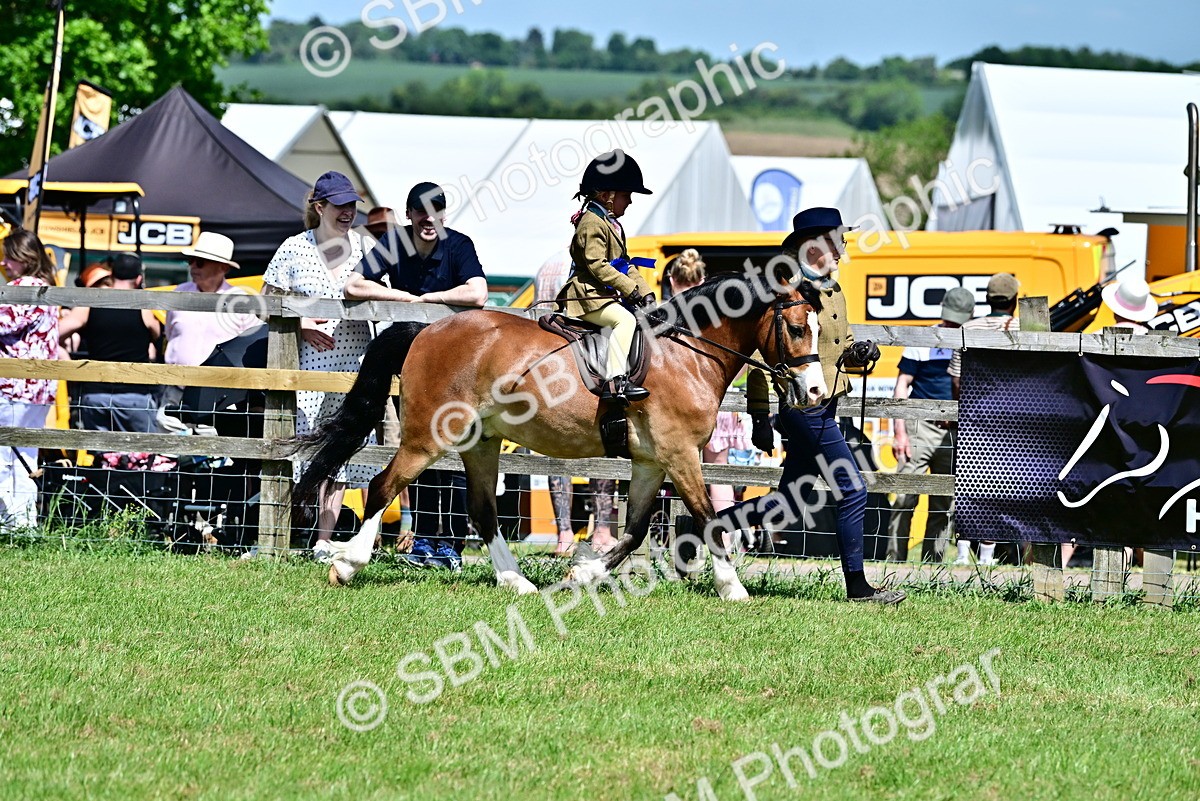 SBM_06441 - Class 59-60 - TSR M&M  Lear Rein and First Ridden Amateur of the year