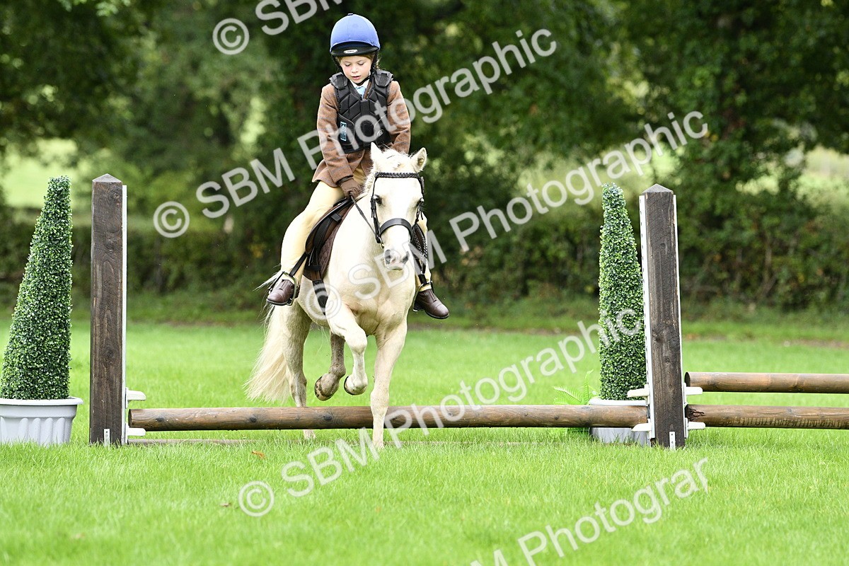 SBM_35464 - S30 - Nursery Stakes Working Hunter Pony