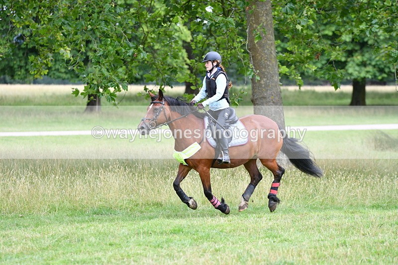 WJ5_0954 - Time at Jump 11:31 to 12:19