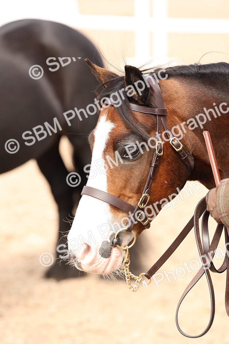 SBM_15125 - Class 209 - IH Veteran Pony