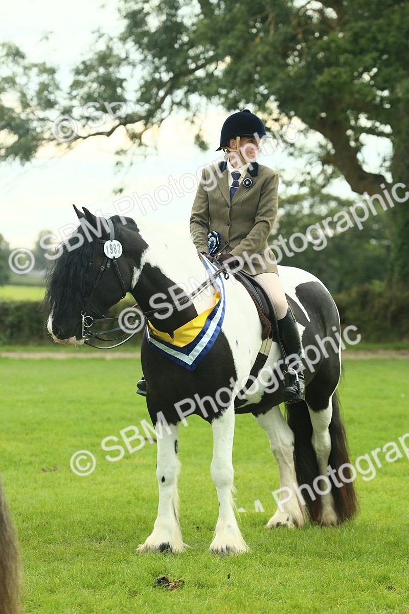 SBM_75254 - Super Supreme Championship