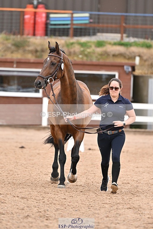 250716-160915-02462 - Trot Up 3.30 to 4.30